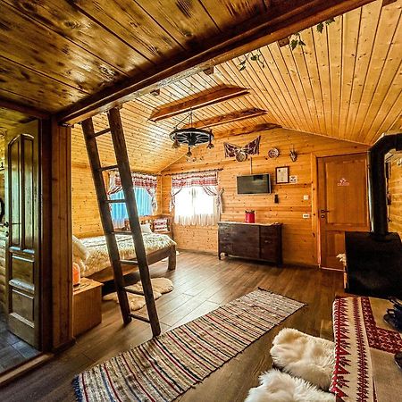Chalets Du Bf Sighişoara Exteriér fotografie