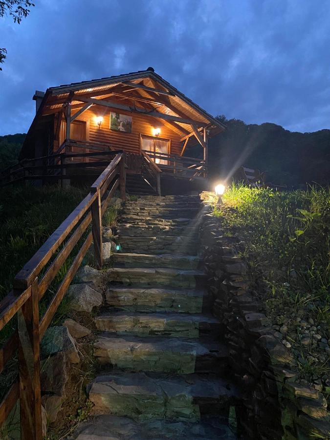Chalets Du Bf Sighişoara Exteriér fotografie